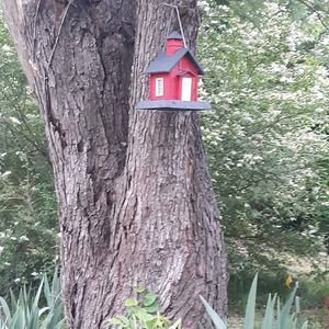 Meet your Posher, Norma